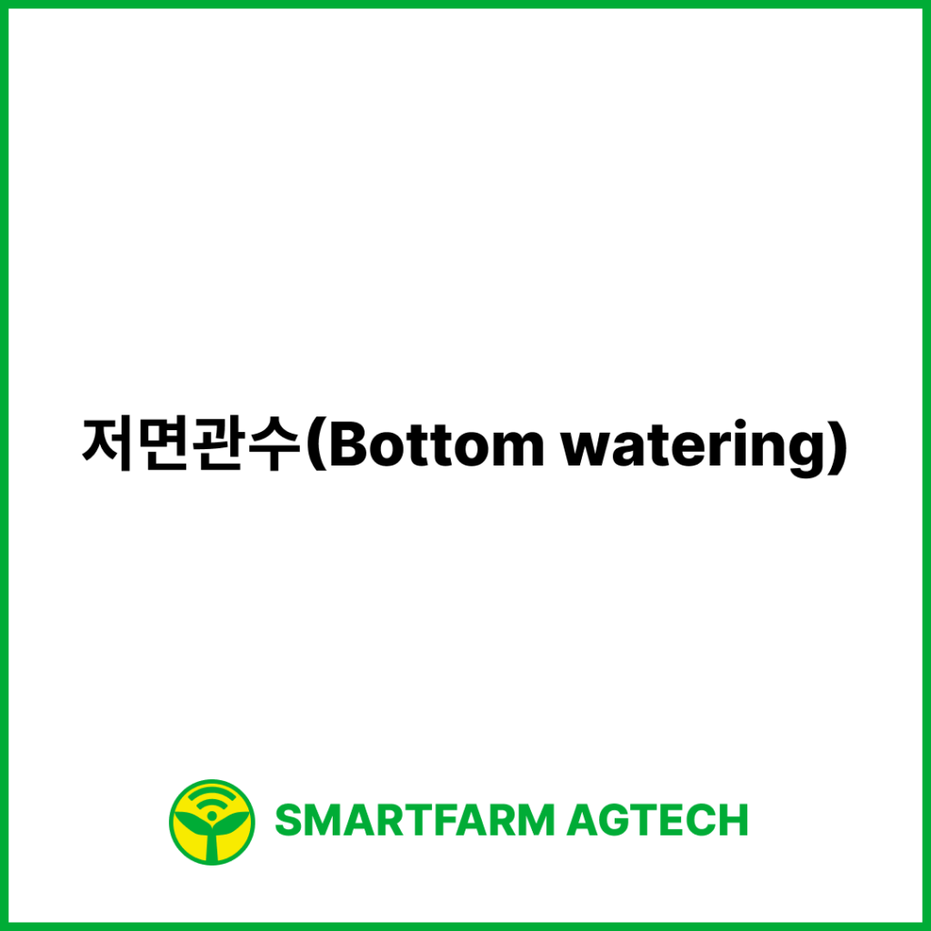 저면관수(Bottom watering) | 스마트팜피디아 (Smartfarm Pedia)