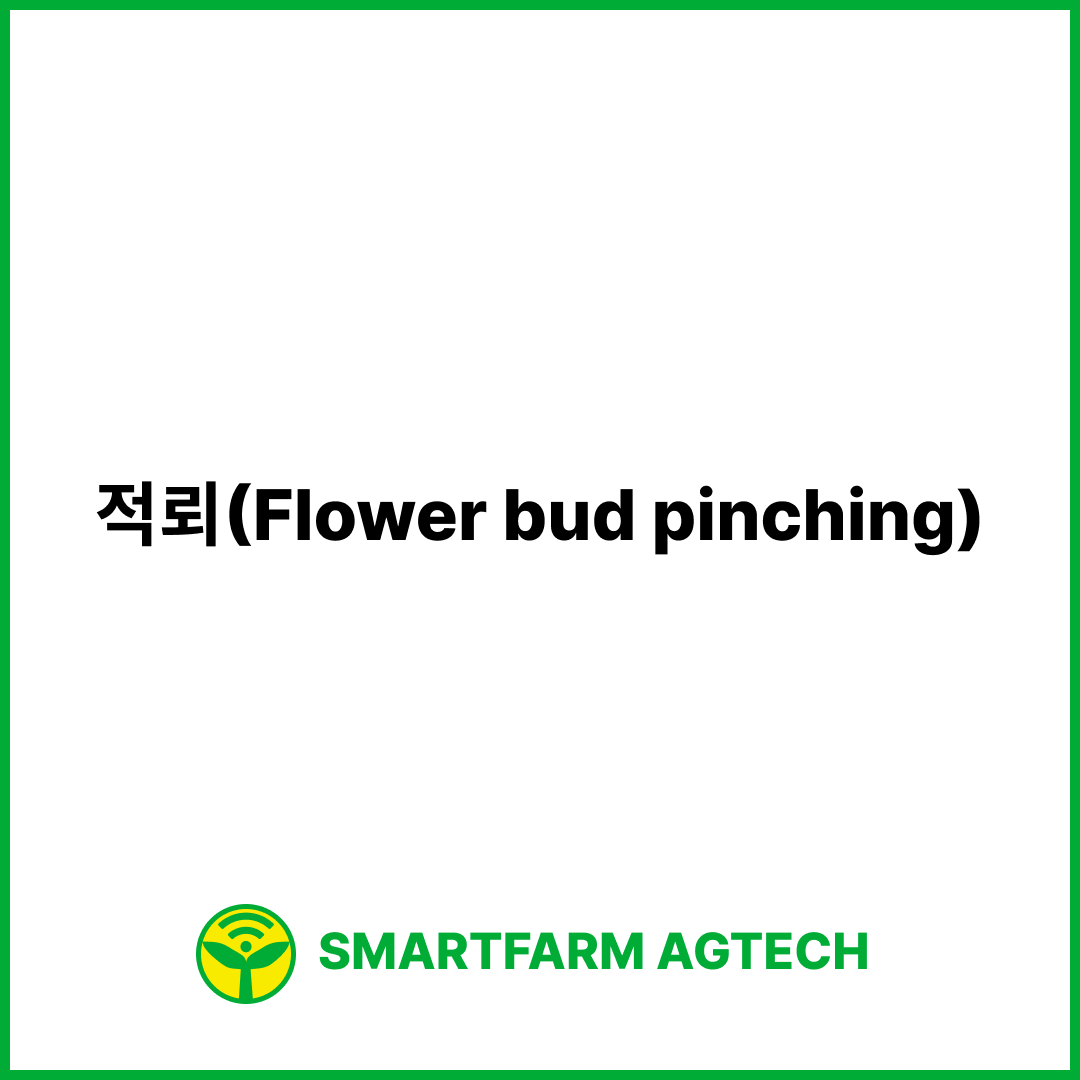 적뢰(Flower bud pinching) | 스마트팜피디아 (Smartfarm Pedia)