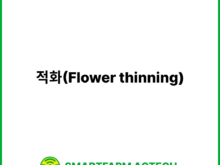 적화(Flower thinning) | 스마트팜피디아 (Smartfarm Pedia)