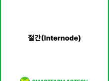 절간(Internode) | 스마트팜피디아 (Smartfarm Pedia)