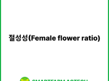 절성성(Female flower ratio) | 스마트팜피디아 (Smartfarm Pedia)