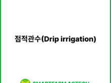 점적관수(Drip irrigation) | 스마트팜피디아 (Smartfarm Pedia)