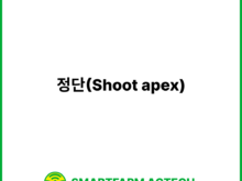 정단(Shoot apex) | 스마트팜피디아 (Smartfarm Pedia)