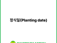 정식일(Planting date) | 스마트팜피디아 (Smartfarm Pedia)