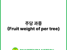 주당 과중(Fruit weight of per tree) | 스마트팜피디아 (Smartfarm Pedia)