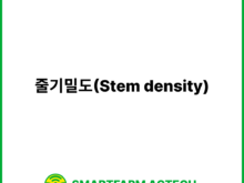 줄기밀도(Stem density) | 스마트팜피디아 (Smartfarm Pedia)