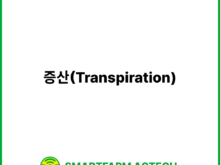 증산(Transpiration) | 스마트팜피디아 (Smartfarm Pedia)