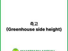 측고(Greenhouse side height) | 스마트팜피디아 (Smartfarm Pedia)