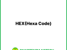 HEX(Hexa Code) | 스마트팜피디아 (Smartfarm Pedia)