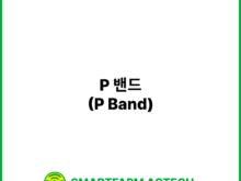 P 밴드(P Band) | 스마트팜피디아 (Smartfarm Pedia)