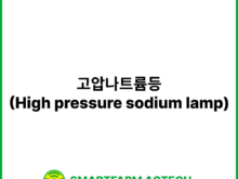 고압나트륨등(High pressure sodium lamp) | 스마트팜피디아 (Smartfarm Pedia)