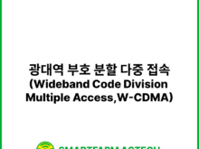 광대역 부호 분할 다중 접속(Wideband Code Division Multiple Access,W-CDMA) | 스마트팜피디아 (Smartfarm Pedia)