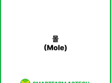 몰(Mole) | 스마트팜피디아 (Smartfarm Pedia)