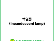 백열등(Incandescent lamp) | 스마트팜피디아 (Smartfarm Pedia)
