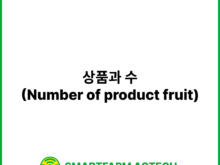 상품과 수(Number of product fruit) | 스마트팜피디아 (Smartfarm Pedia)
