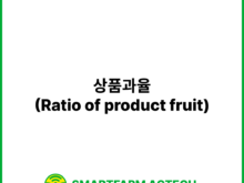 상품과율(Ratio of product fruit) | 스마트팜피디아 (Smartfarm Pedia)
