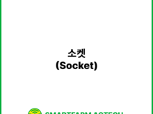 소켓(Socket) | 스마트팜피디아 (Smartfarm Pedia)