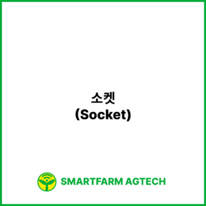 소켓(Socket) | 스마트팜피디아 (Smartfarm Pedia)