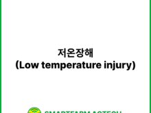 저온장해(Low temperature injury) | 스마트팜피디아 (Smartfarm Pedia)