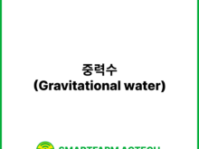 중력수(Gravitational water)