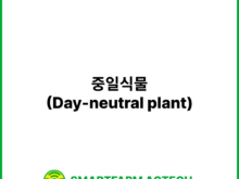 중일식물(Day-neutral plant) _ 스마트팜피디아 (Smartfarm Pedia)