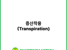 증산작용(Transpiration) _ 스마트팜피디아 (Smartfarm Pedia)