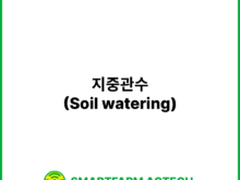 지중관수(Soil watering) _ 스마트팜피디아 (Smartfarm Pedia)