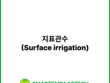 지표관수(Surface irrigation) _ 스마트팜피디아 (Smartfarm Pedia)