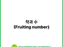 착과 수(Fruiting number) _ 스마트팜피디아 (Smartfarm Pedia)