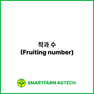 착과 수(Fruiting number) _ 스마트팜피디아 (Smartfarm Pedia)