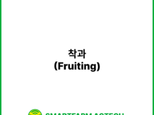 착과(Fruiting) _ 스마트팜피디아 (Smartfarm Pedia)