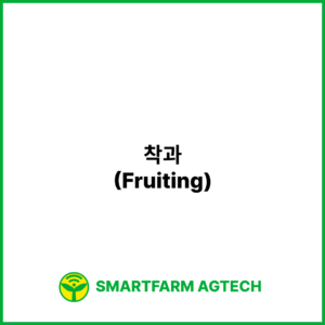 착과(Fruiting) _ 스마트팜피디아 (Smartfarm Pedia)