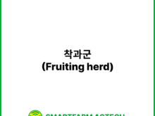 착과군(Fruiting herd) _ 스마트팜피디아 (Smartfarm Pedia)