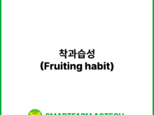 착과습성(Fruiting habit) _ 스마트팜피디아 (Smartfarm Pedia)