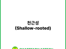 천근성(Shallow-rooted) | 스마트팜피디아 (Smartfarm Pedia)