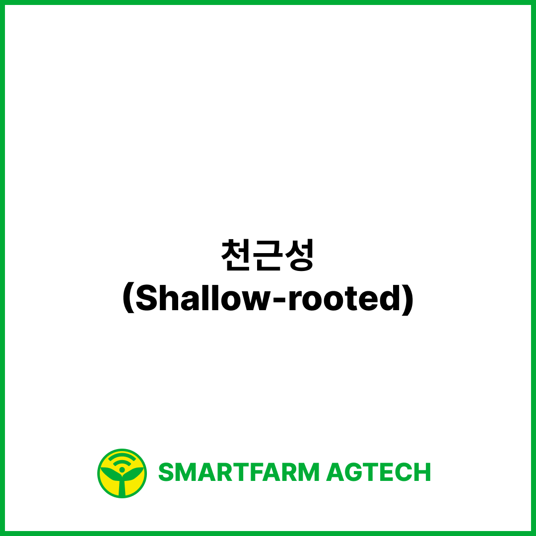 천근성(Shallow-rooted) | 스마트팜피디아 (Smartfarm Pedia)