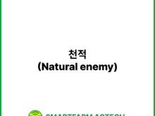 천적(Natural enemy) | 스마트팜피디아 (Smartfarm Pedia)