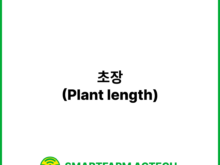 초장(Plant length) | 스마트팜피디아 (Smartfarm Pedia)