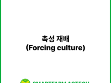 촉성 재배(Forcing culture) | 스마트팜피디아 (Smartfarm Pedia)