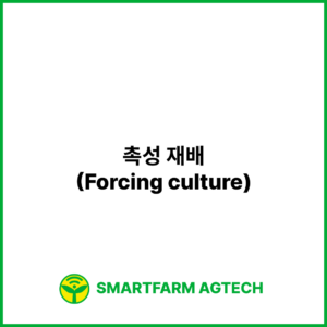 촉성 재배(Forcing culture) | 스마트팜피디아 (Smartfarm Pedia)