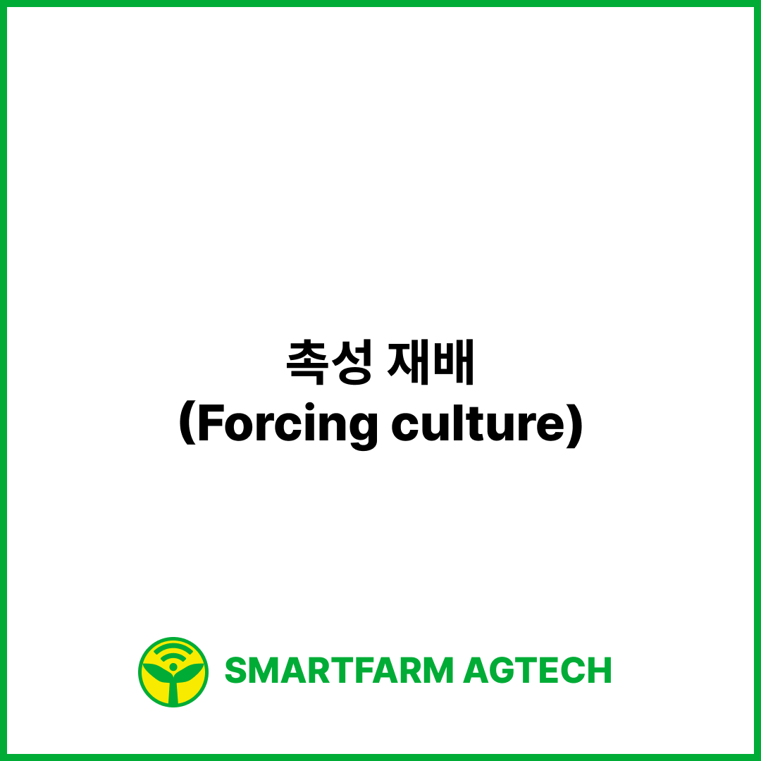 촉성 재배(Forcing culture) | 스마트팜피디아 (Smartfarm Pedia)