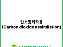 탄소동화작용(Carbon dioxide assimilation) | 스마트팜피디아 (Smartfarm Pedia)
