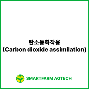 탄소동화작용(Carbon dioxide assimilation) | 스마트팜피디아 (Smartfarm Pedia)