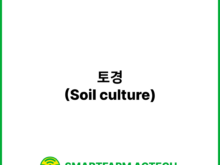 토경(Soil culture) | 스마트팜피디아 (Smartfarm Pedia)