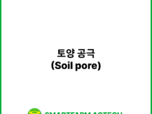 토양 공극(Soil pore) | 스마트팜피디아 (Smartfarm Pedia)
