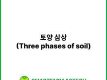 토양 삼상(Three phases of soil) | 스마트팜피디아 (Smartfarm Pedia)