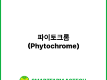 파이토크롬(Phytochrome) | 스마트팜피디아 (Smartfarm Pedia)
