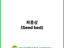 파종상(Seed bed) | 스마트팜피디아 (Smartfarm Pedia)