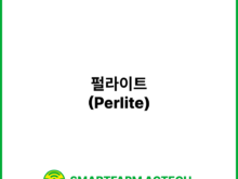펄라이트(Perlite) | 스마트팜피디아 (Smartfarm Pedia)
