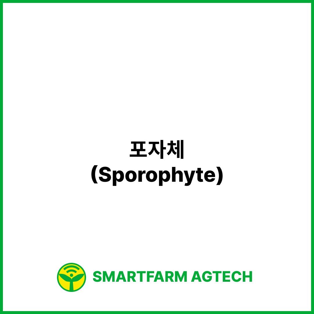 포자체(Sporophyte) | 스마트팜피디아 (Smartfarm Pedia)